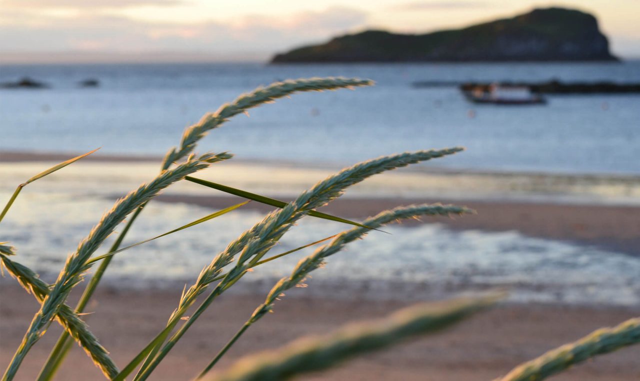 beach scene close-up